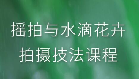摇拍与水滴花卉拍摄技术技巧教程视频