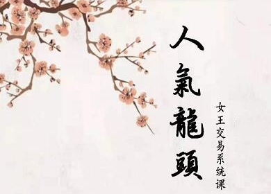 短线女王-人气龙头基础视频教程