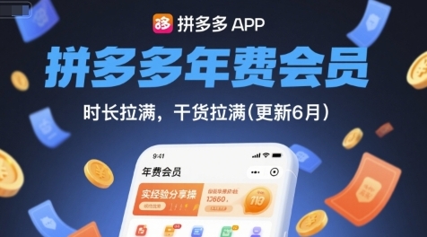 拼多多实战经验分享，盈利突围战