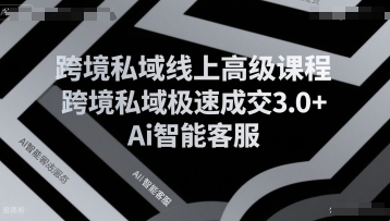 跨境私域线上高级课程，跨境私域极速成交3.0+Ai智能客服