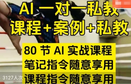 AI指令实战课，课程+案例，80节AI实战课程